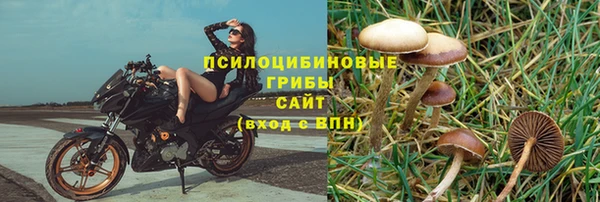 метадон Горняк